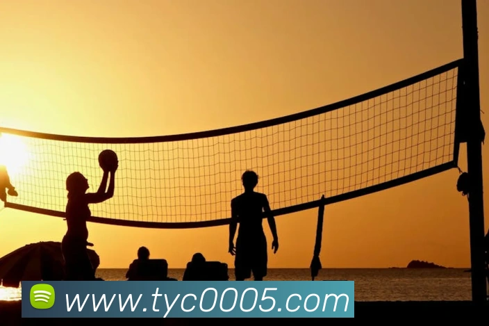 多媒体互动体验